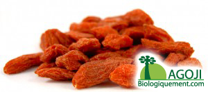 La baies de goji bio est une source d'antioxydants naturels puissants